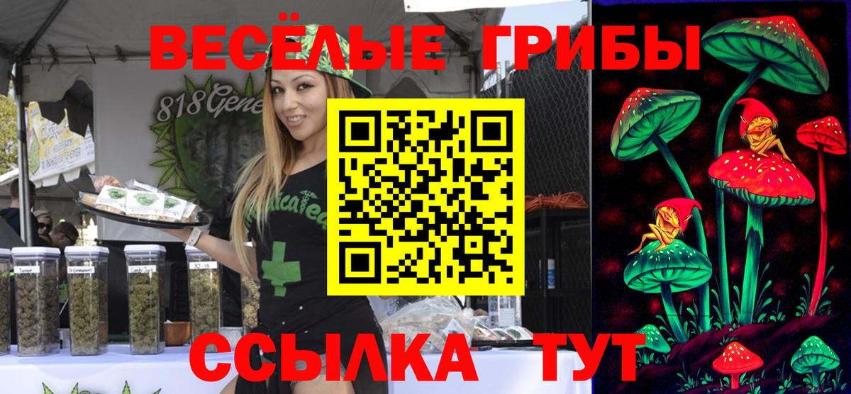 Азнакаево  Галлюциногенные грибы Cubensis  Вход с VPN 